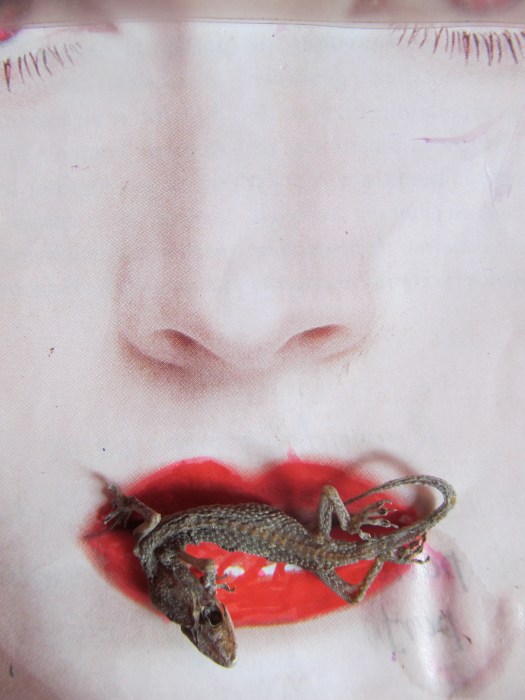 Cat Down to Size by Rosemarie Selow II